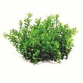 Aquatop Aquatic Supplies 6 in. Profit Power Pck Bushy Plant - Green, 12PK 3520